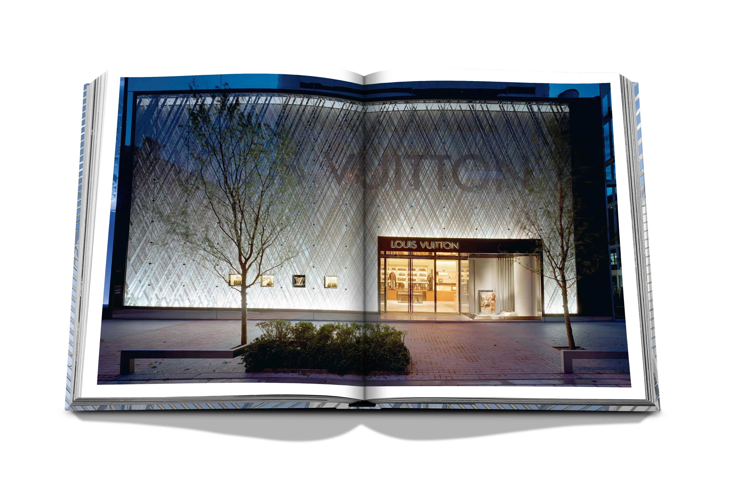 Louis Vuitton Skin: Architecture of Luxury (Beijing Edition